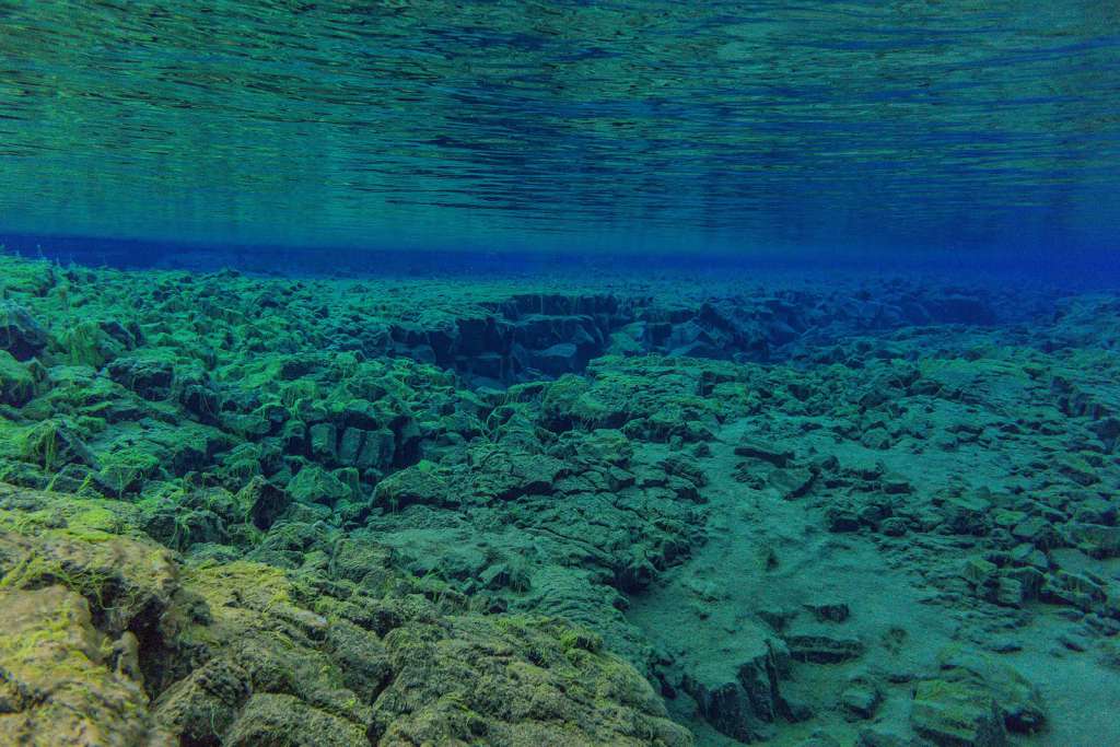 underwater cellars