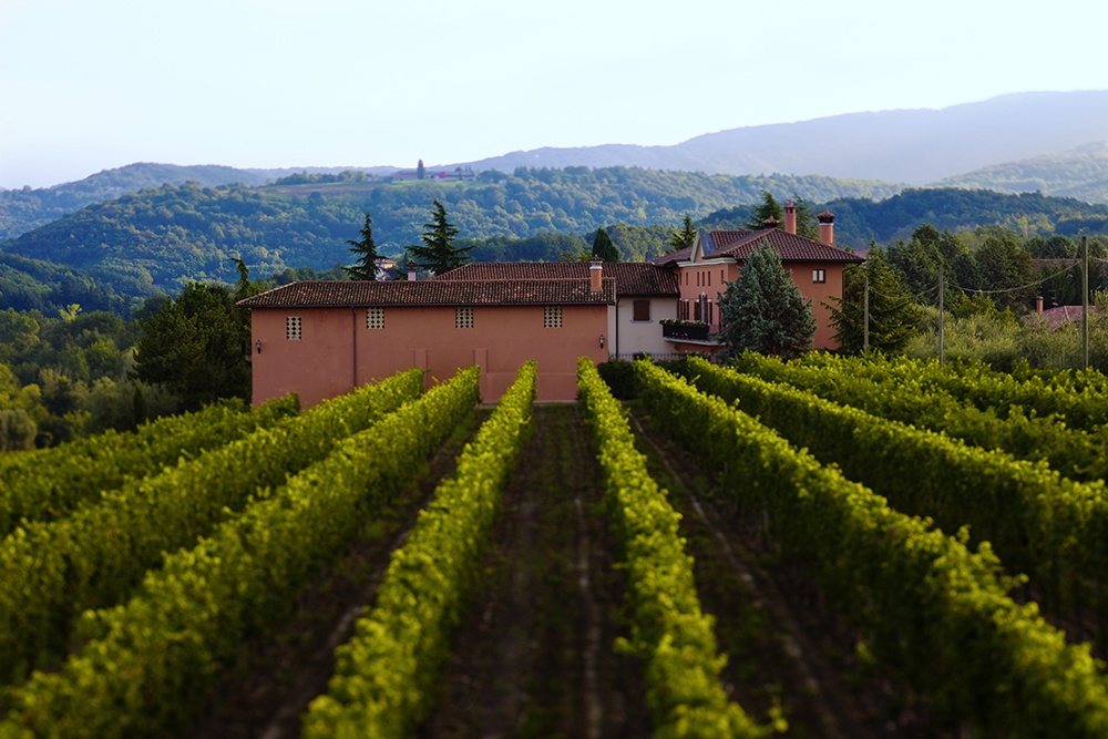 Zorzettig Il Vino in Friuli Colli orientali