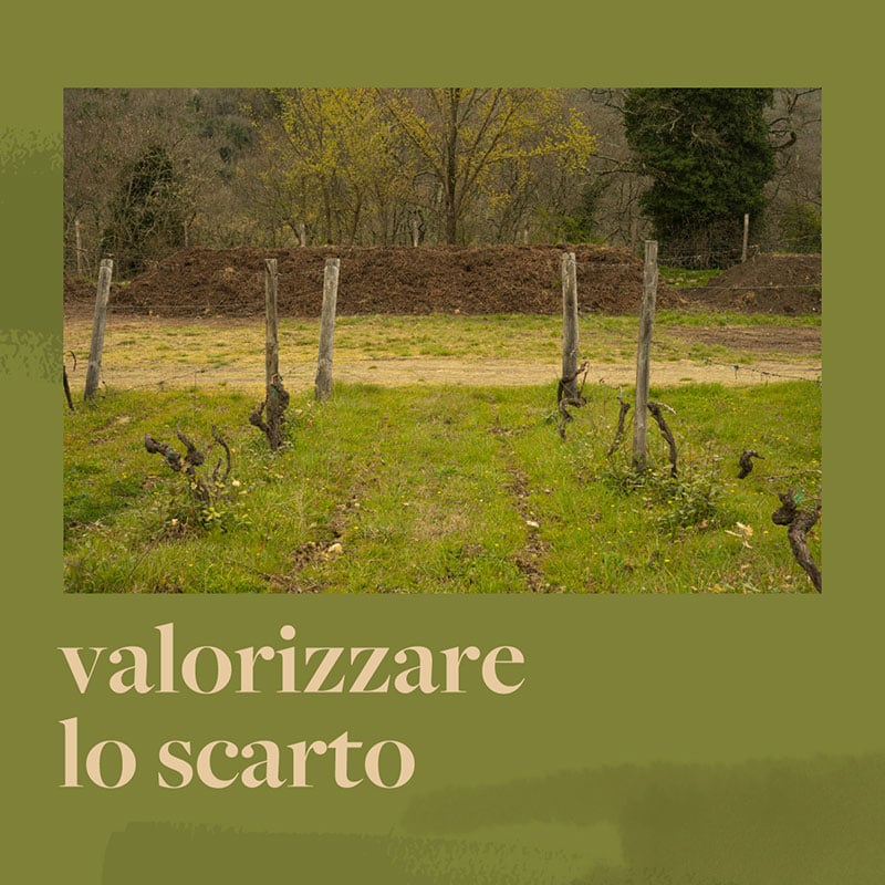 lamole di lamole valorizzare lo scarto