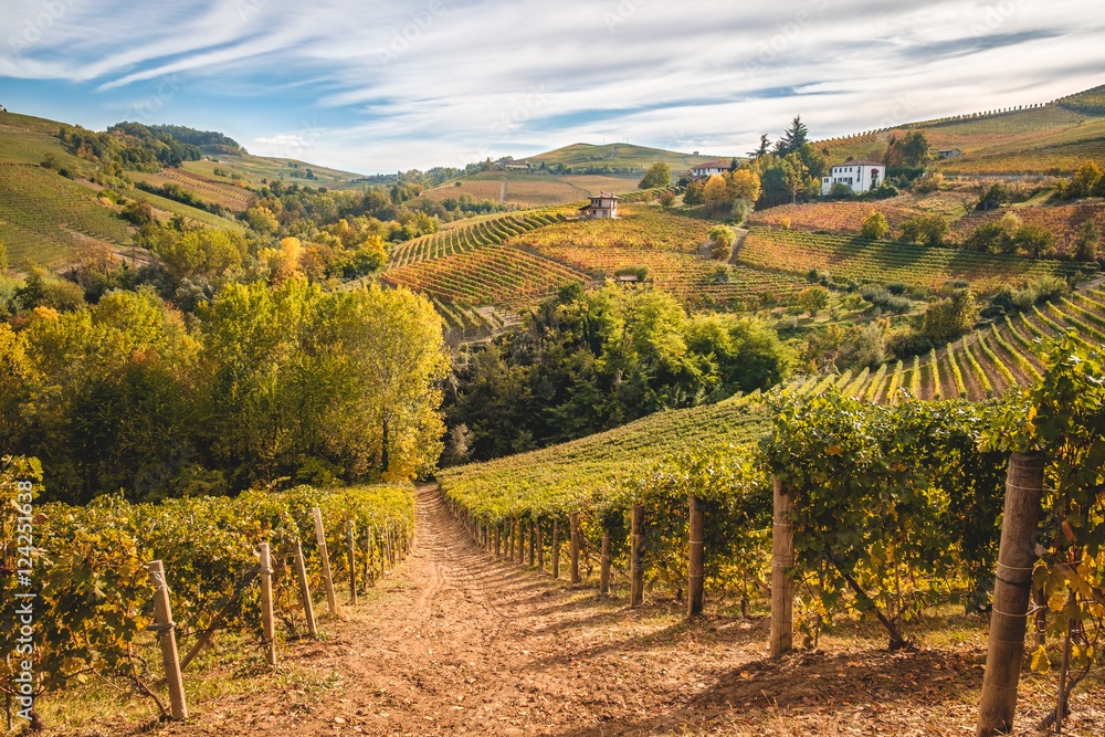 Italian Winery_Langhe