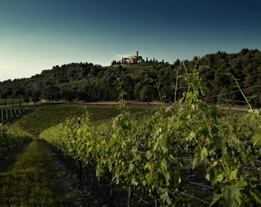 vini-banfi-tenuta-montepulciano