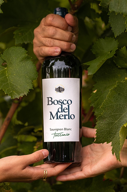 Bosco del Merlo Sauvignon Turranio xtraWine vino