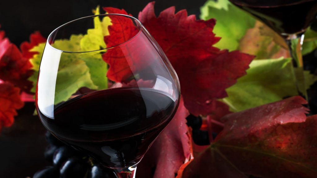 skin benefits of red wine