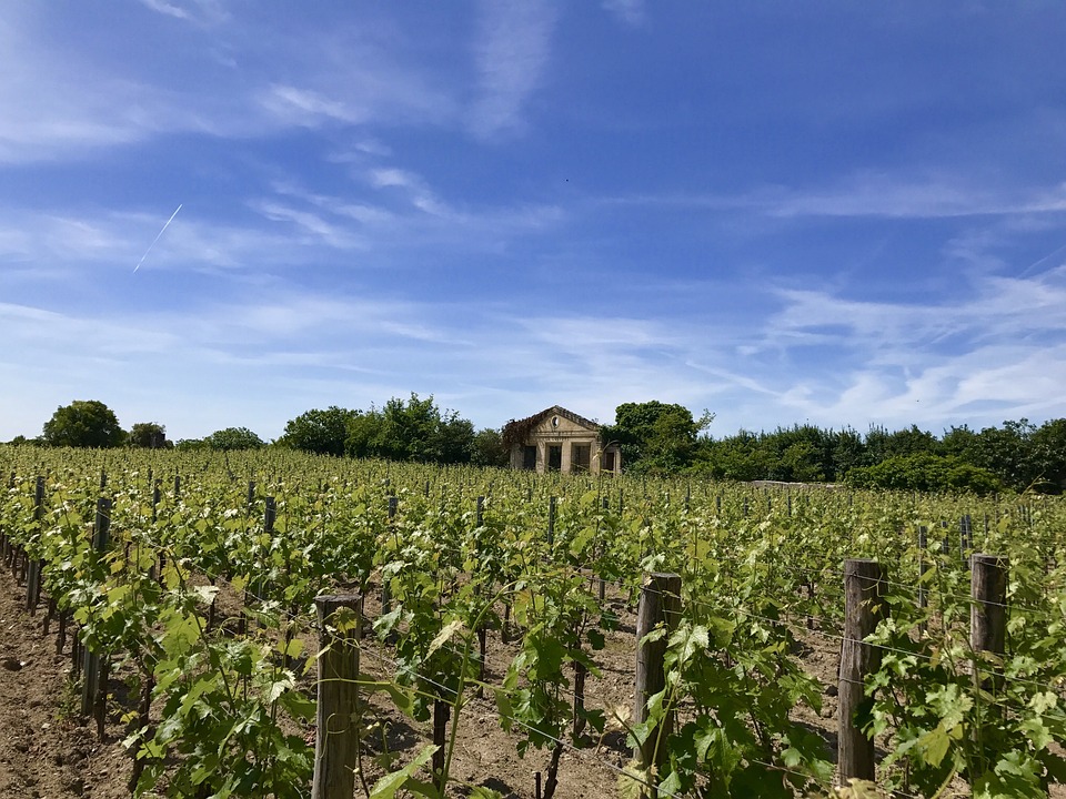 Bordeaux - Saint-Émilion