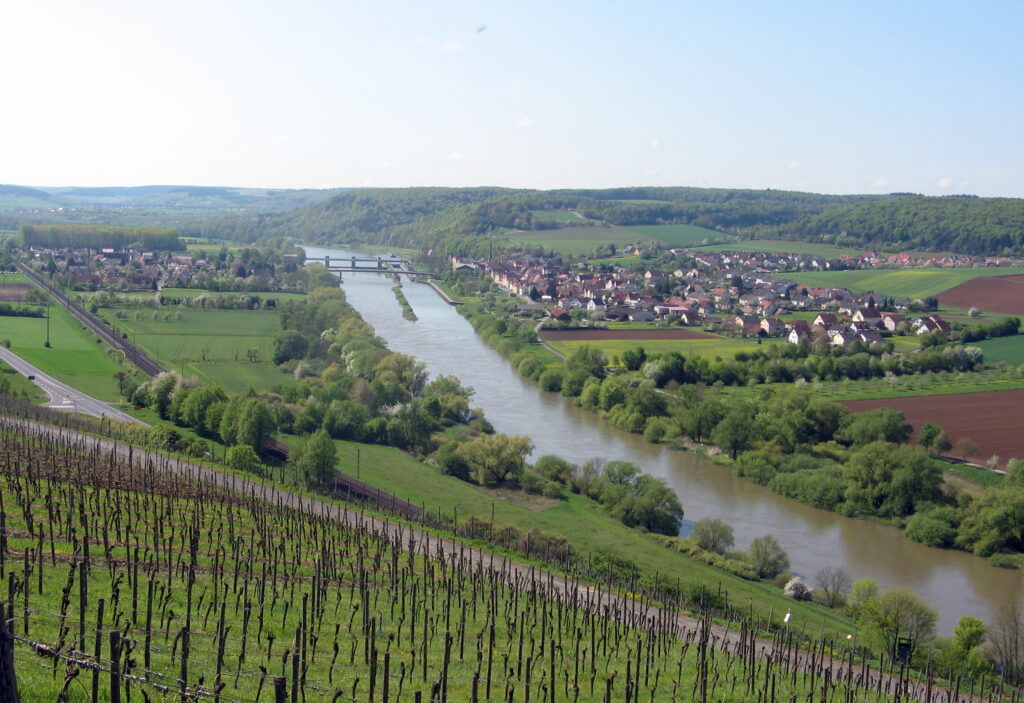 Dr. Loosen Wehlener  Riesling