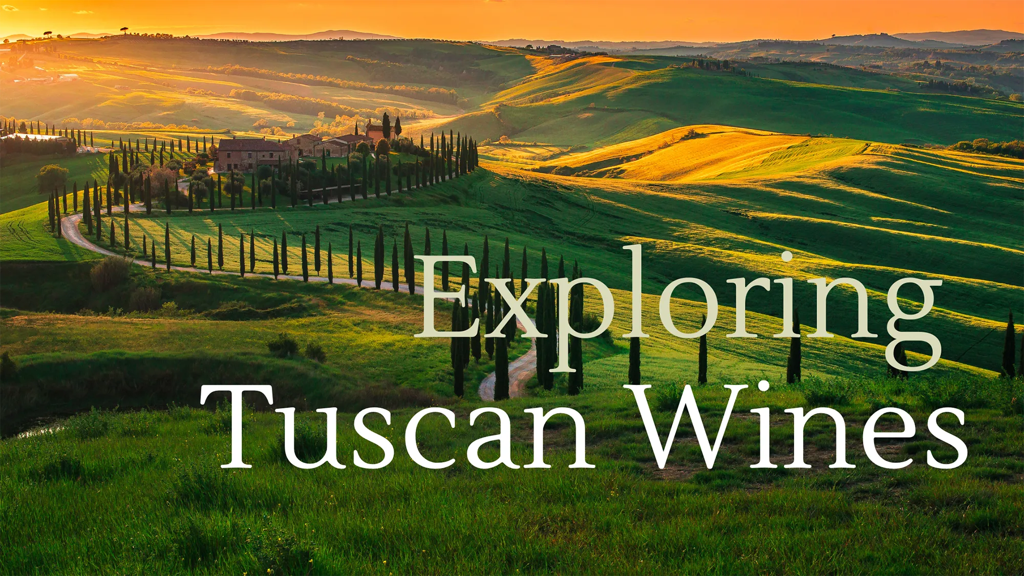 exploring-tuscany- wines