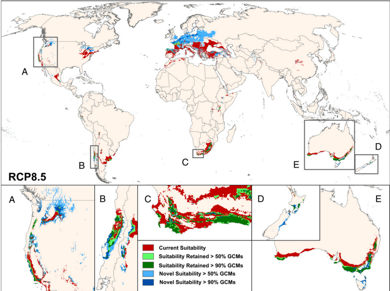 Future wine production areas according to study "Climate change, wine, and conservation"