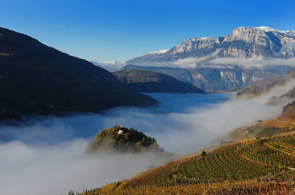 Altemasi: vigneti in Trentino